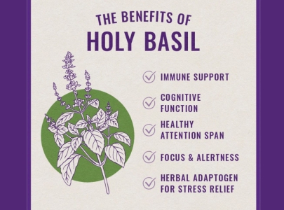 CHỮA HÔI MIỆNG BẰNG HƯƠNG NHU TÍA CÓ HIỆU QUẢ KHÔNG?