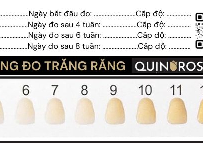 RĂNG TRƯỞNG THÀNH Ố VÀNG DO ĐÂU?